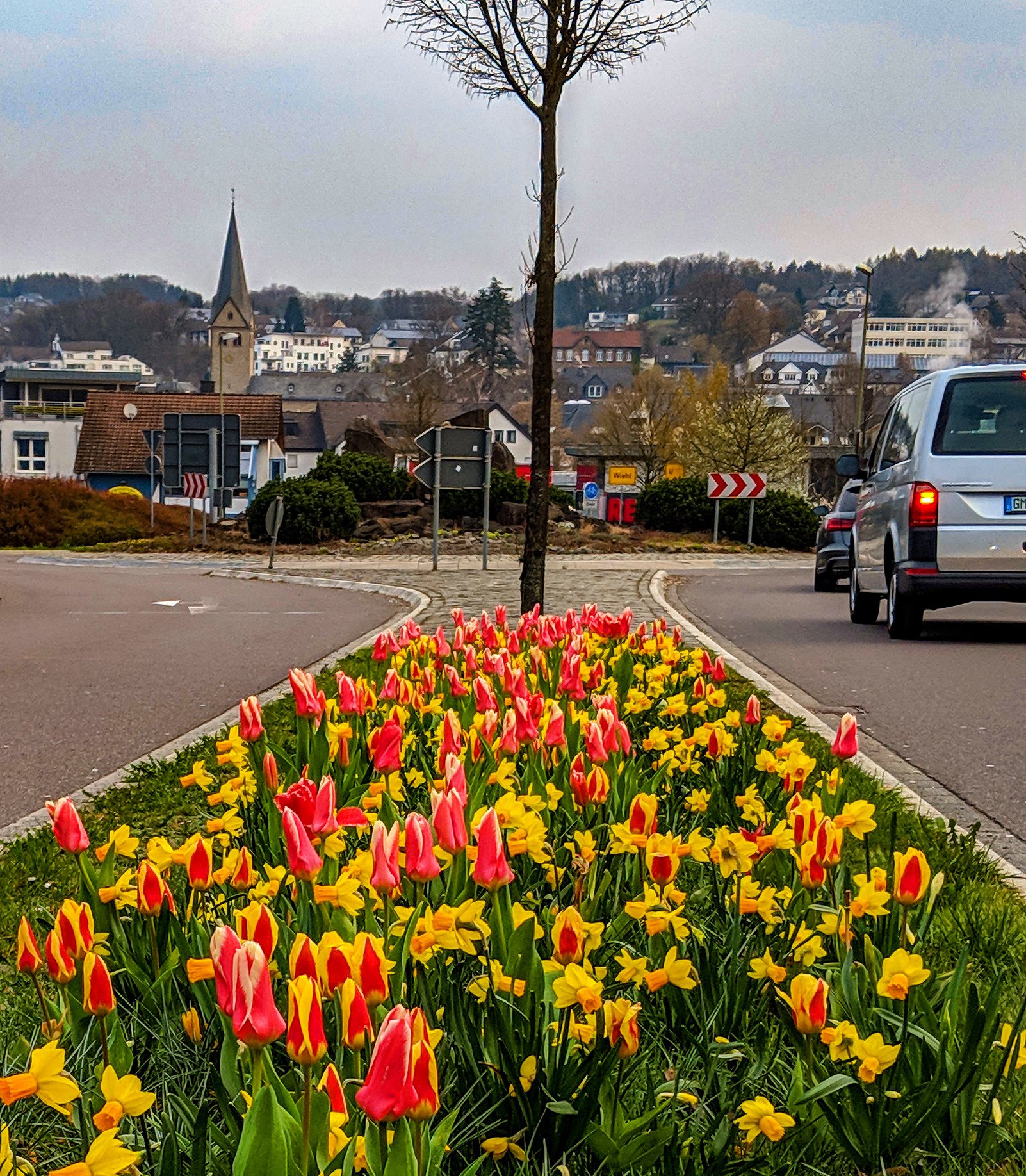 Tulpen in Wiehl